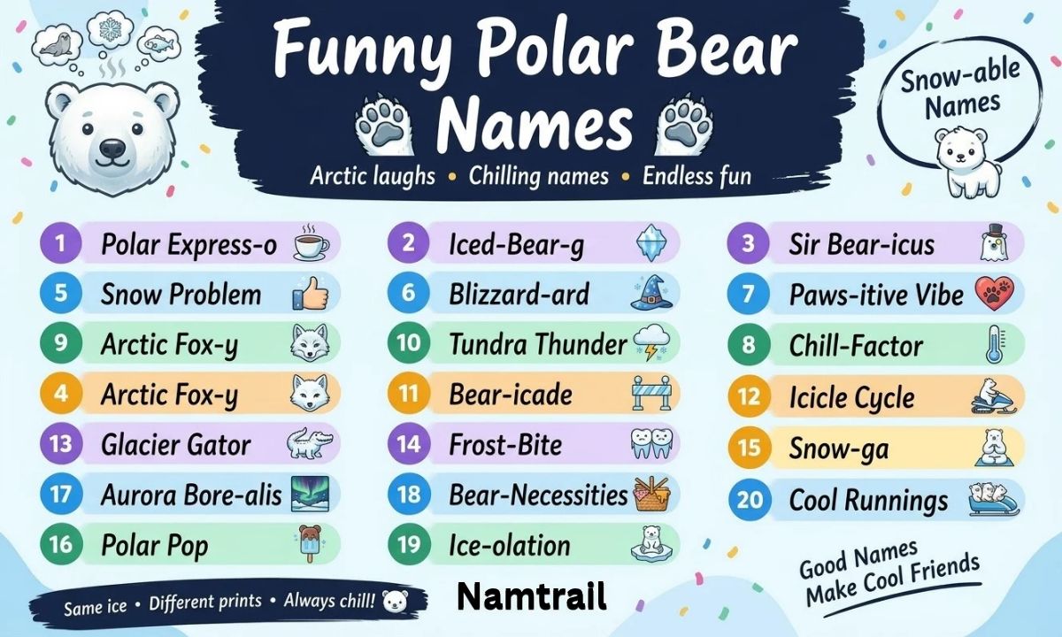Polar Bear Names