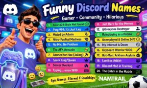 Funny Discord Names