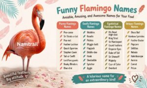 Funny Flamingo Names